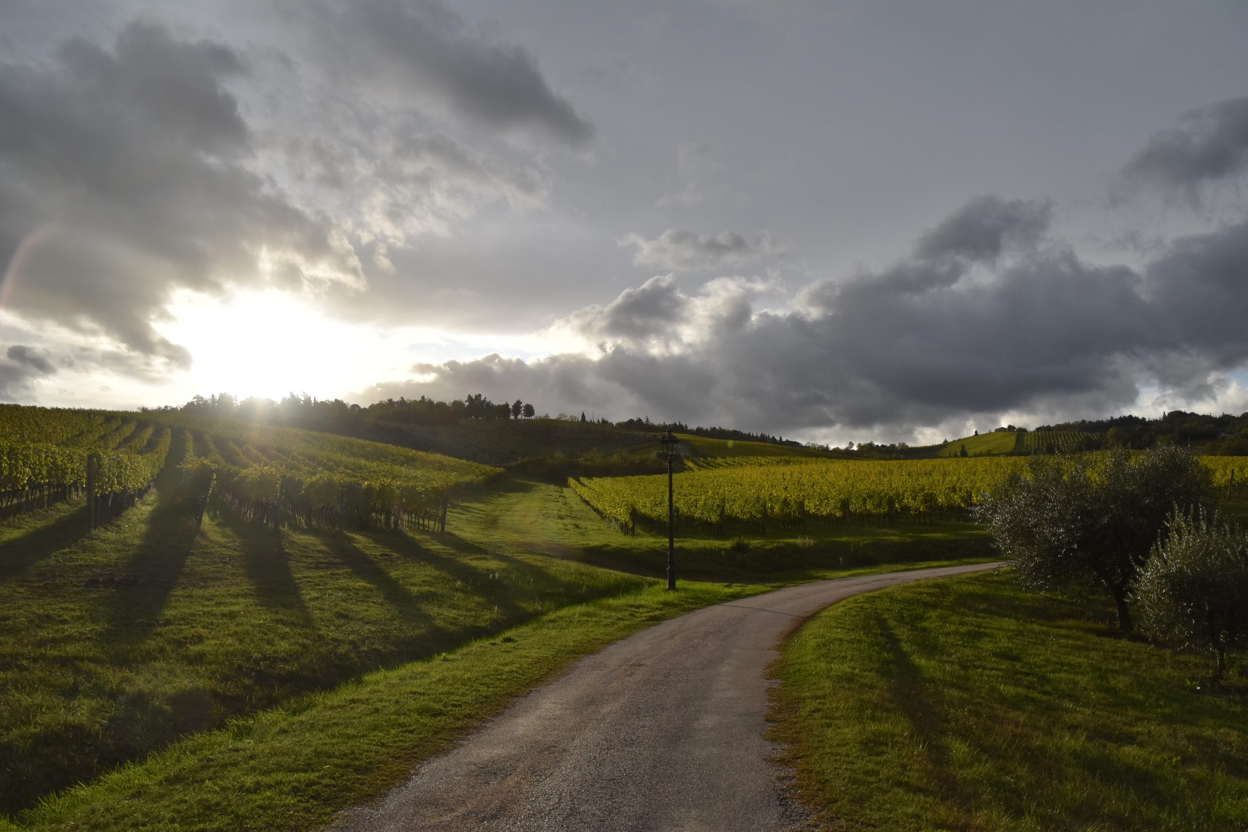 Primavera - rinascere dopo l’inverno