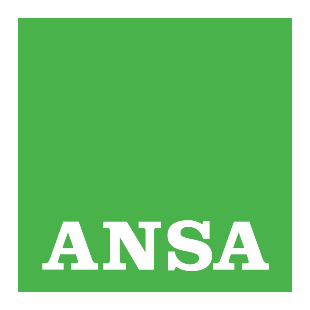 ansa